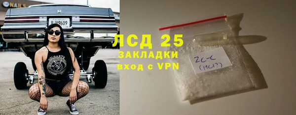 сатива Володарск