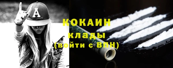 сатива Володарск