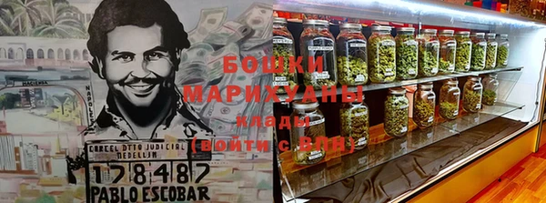 сатива Володарск