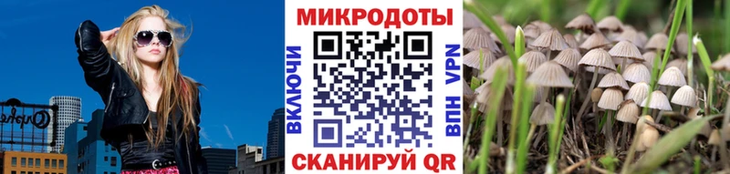 где продают наркотики  кракен рабочий сайт  Псилоцибиновые грибы Psilocybe  Новое Девяткино 